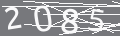 capsa